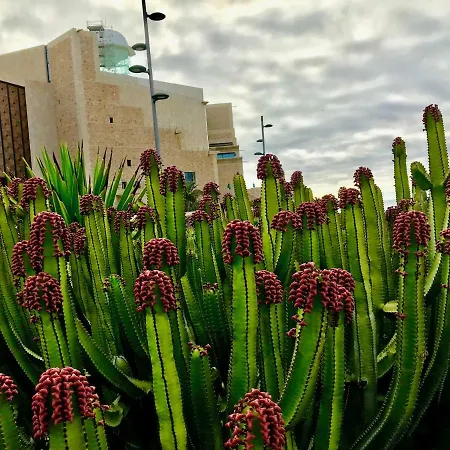 Appartement Canary Islands Holidays Las Palmas